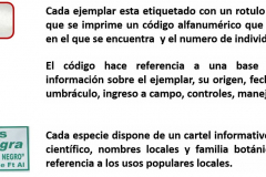 Imagen-1-colecciones
