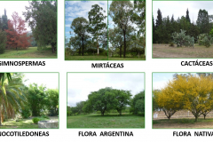 Imagen-2-colecciones