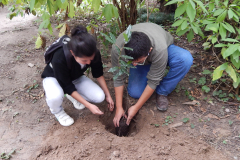 plantacion-de-ejemplares-1