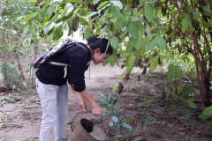 plantacion-de-ejemplares-2