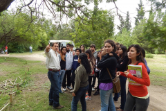 Imagen-11-proyectos