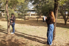 Imagen-4-proyectos