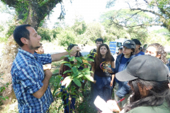Imagen-6-proyectos