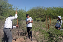 Imagen-8-proyectos